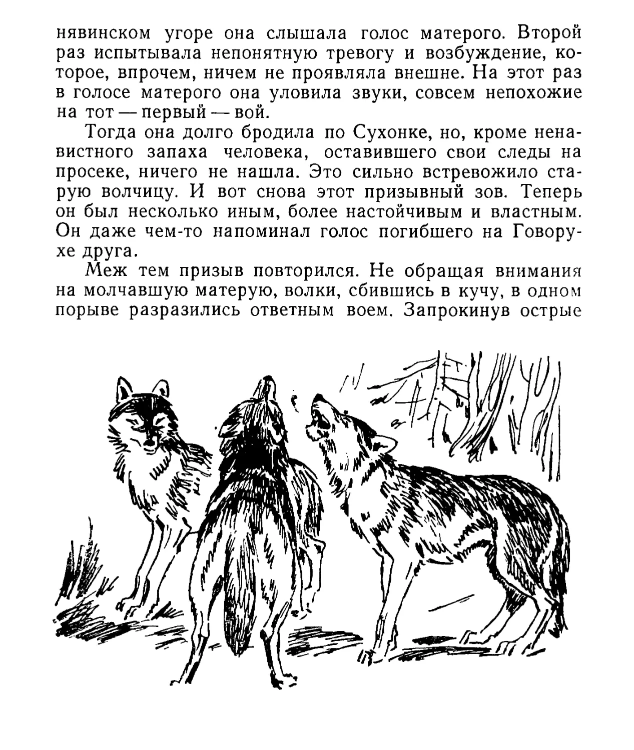 Мальчик воспитанный волками на русском