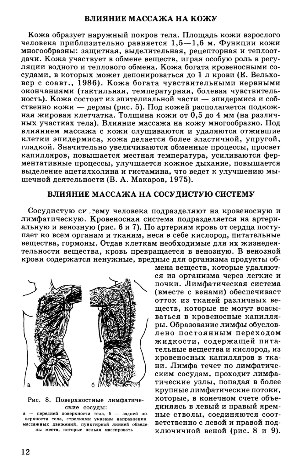 Влияние массажа на кожу
Влияние массажа на сосудистую систему