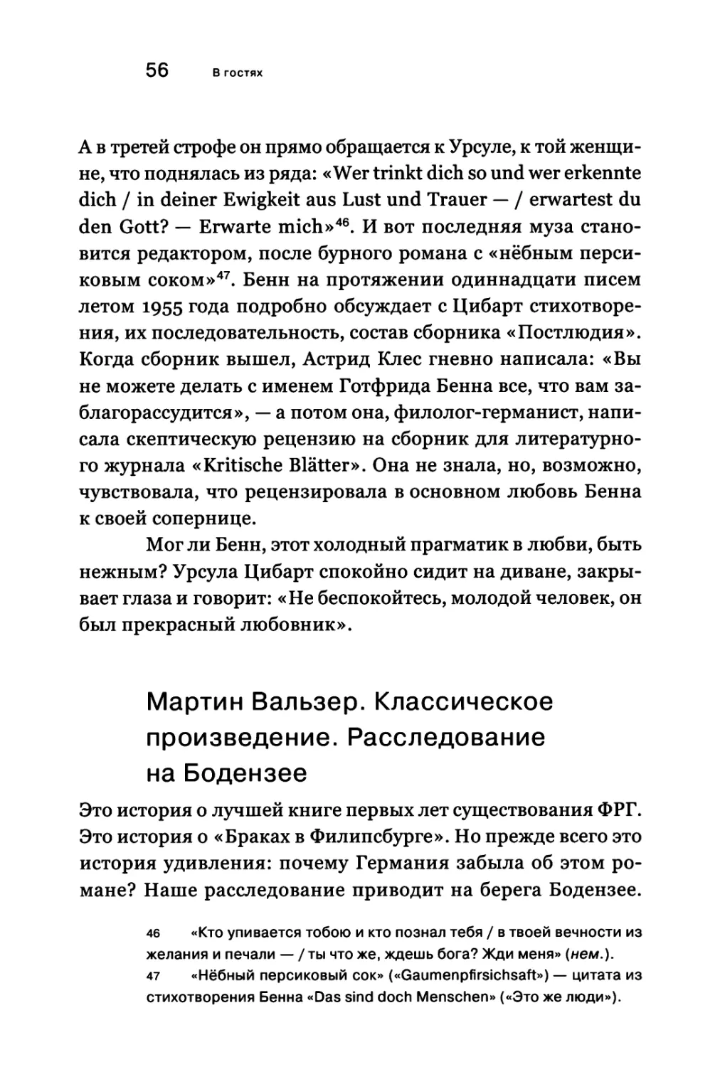 Мартин Вальзер. Классическое произведение. Расследование на Бодензее