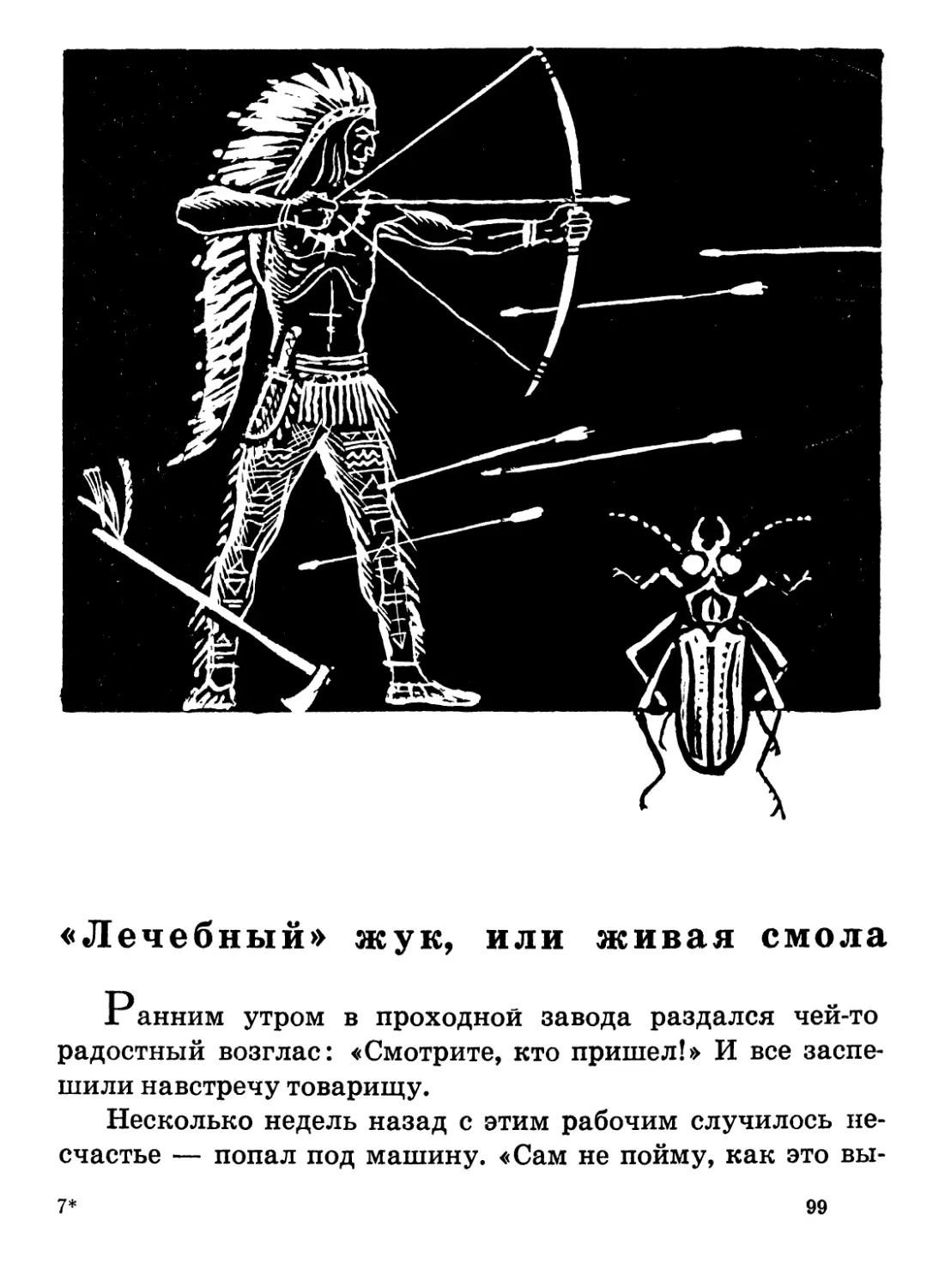 «Лечебный»  жук,  или  живая  смола