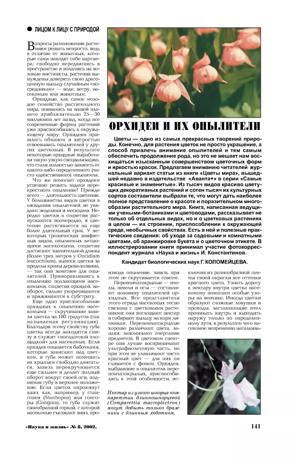 Г. КОЛОМЕЙЦЕВА, канд. биол. наук — Орхидеи и их опылители