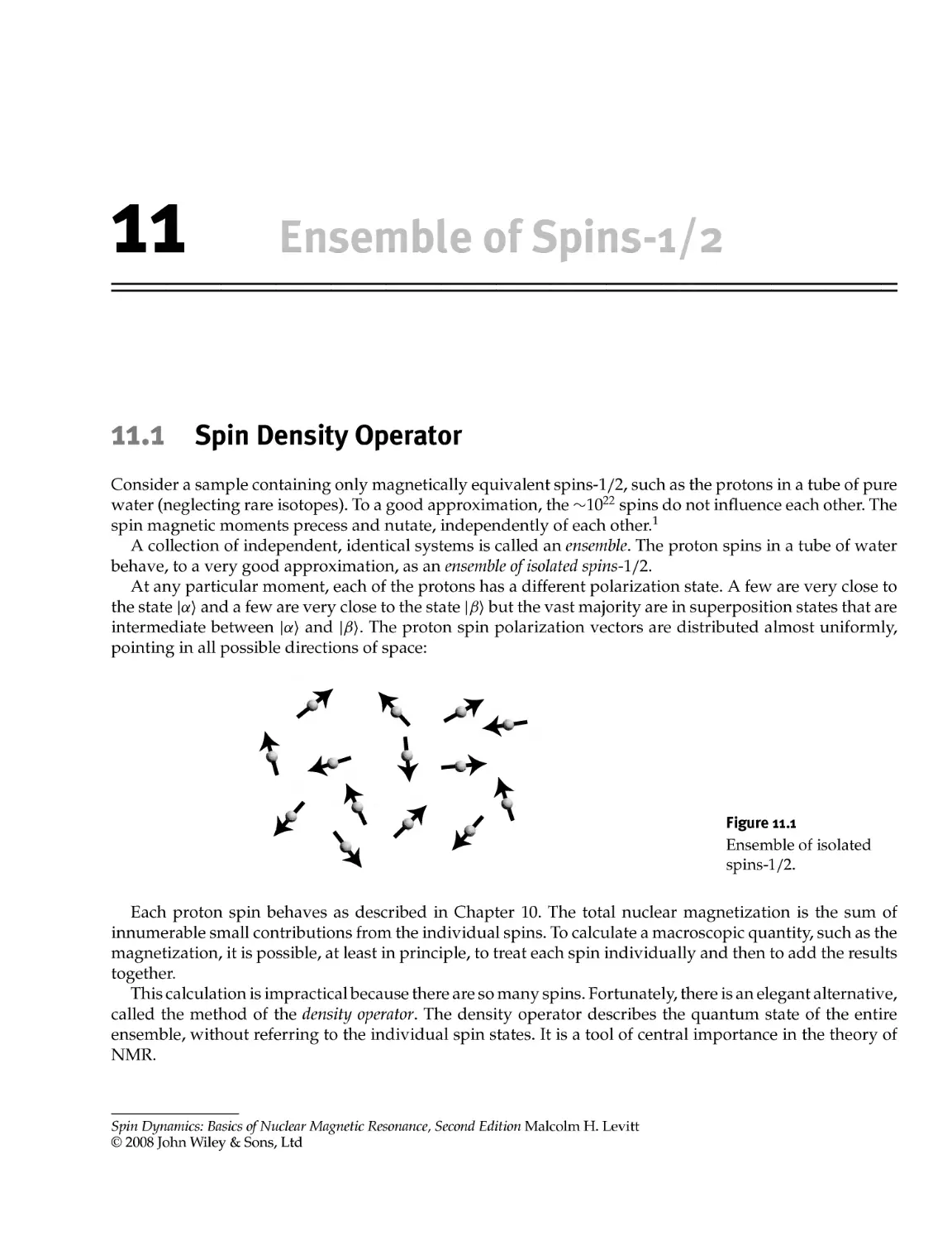 11 Ensemble of Spins-1/2