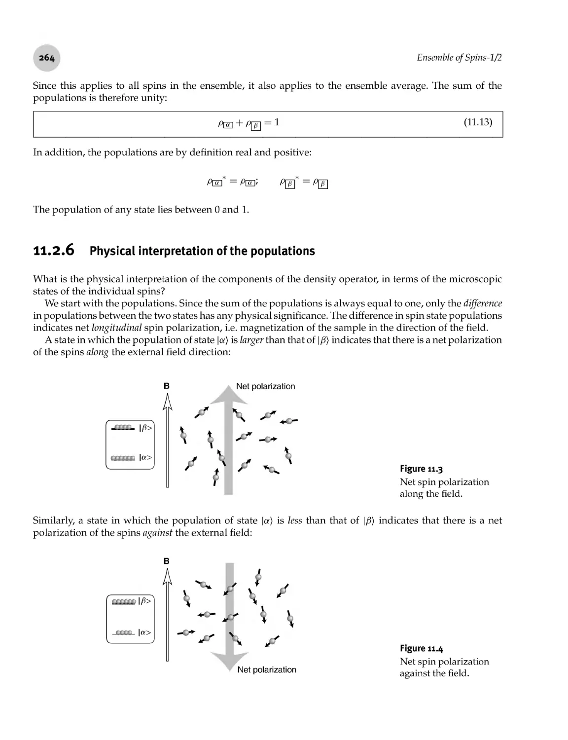 11.2.6 Physical interpretation of the populations