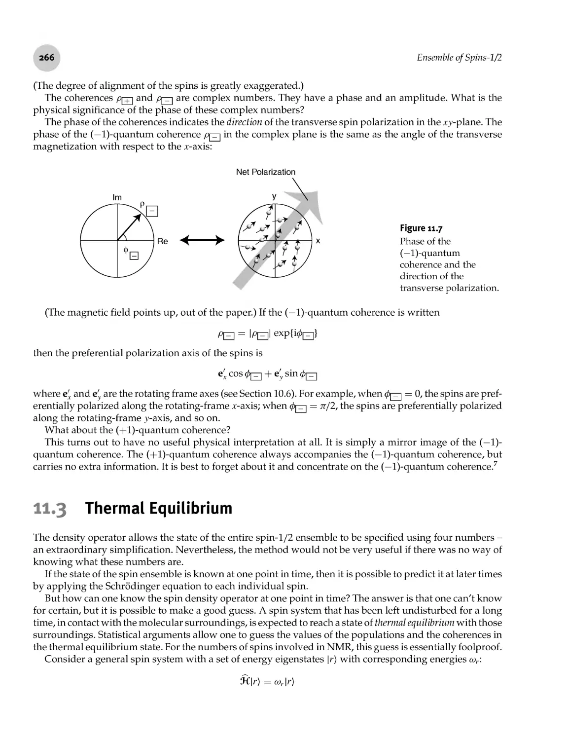 11.3 Thermal Equilibrium