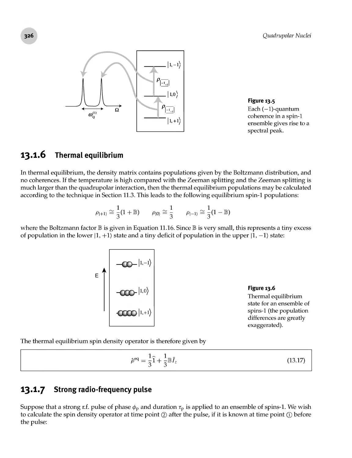 13.1.6 Thermal equilibrium
13.1.7 Strong radio-frequency pulse