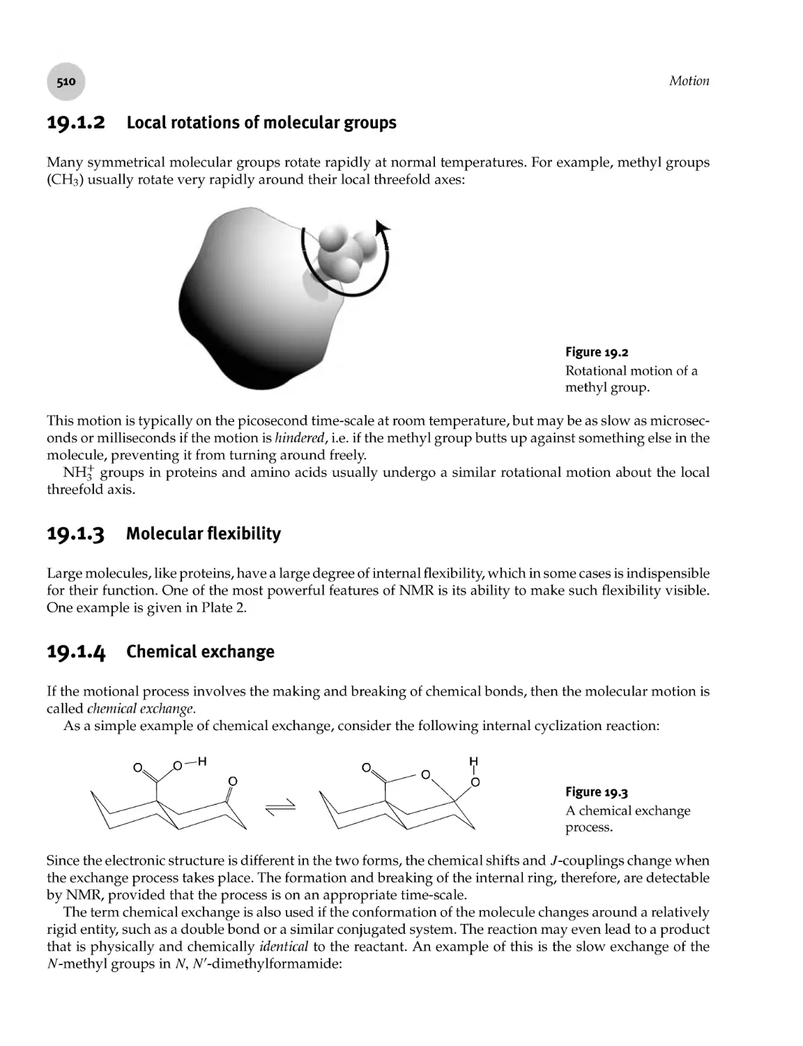 19.1.2 Local rotations of molecular groups
19.1.3 Molecular flexibility
19.1.4 Chemical exchange