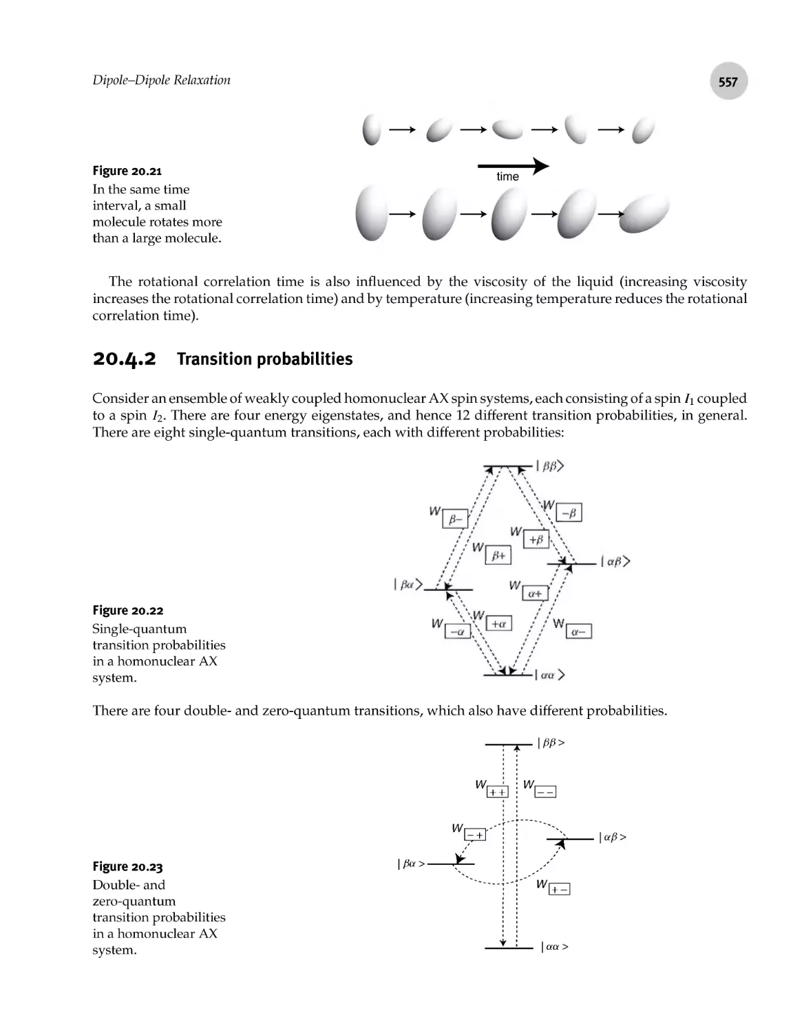 20.4.2 Transition probabilities