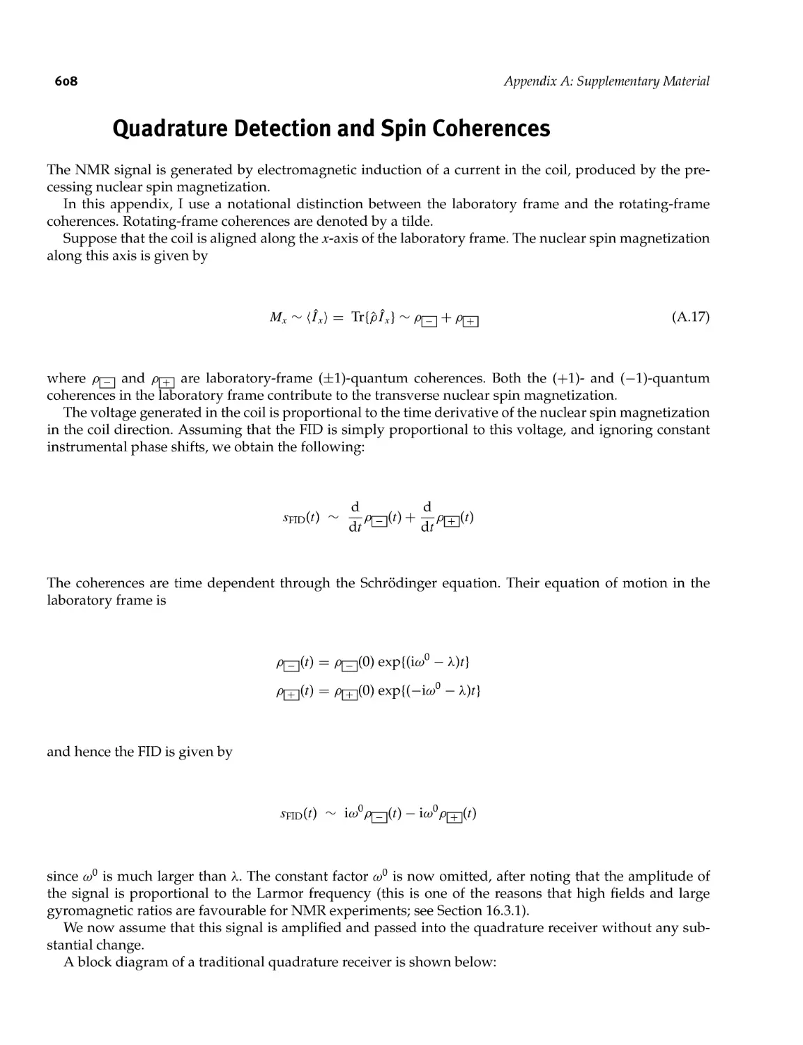 A.5 Quadrature Detection and Spin Coherences