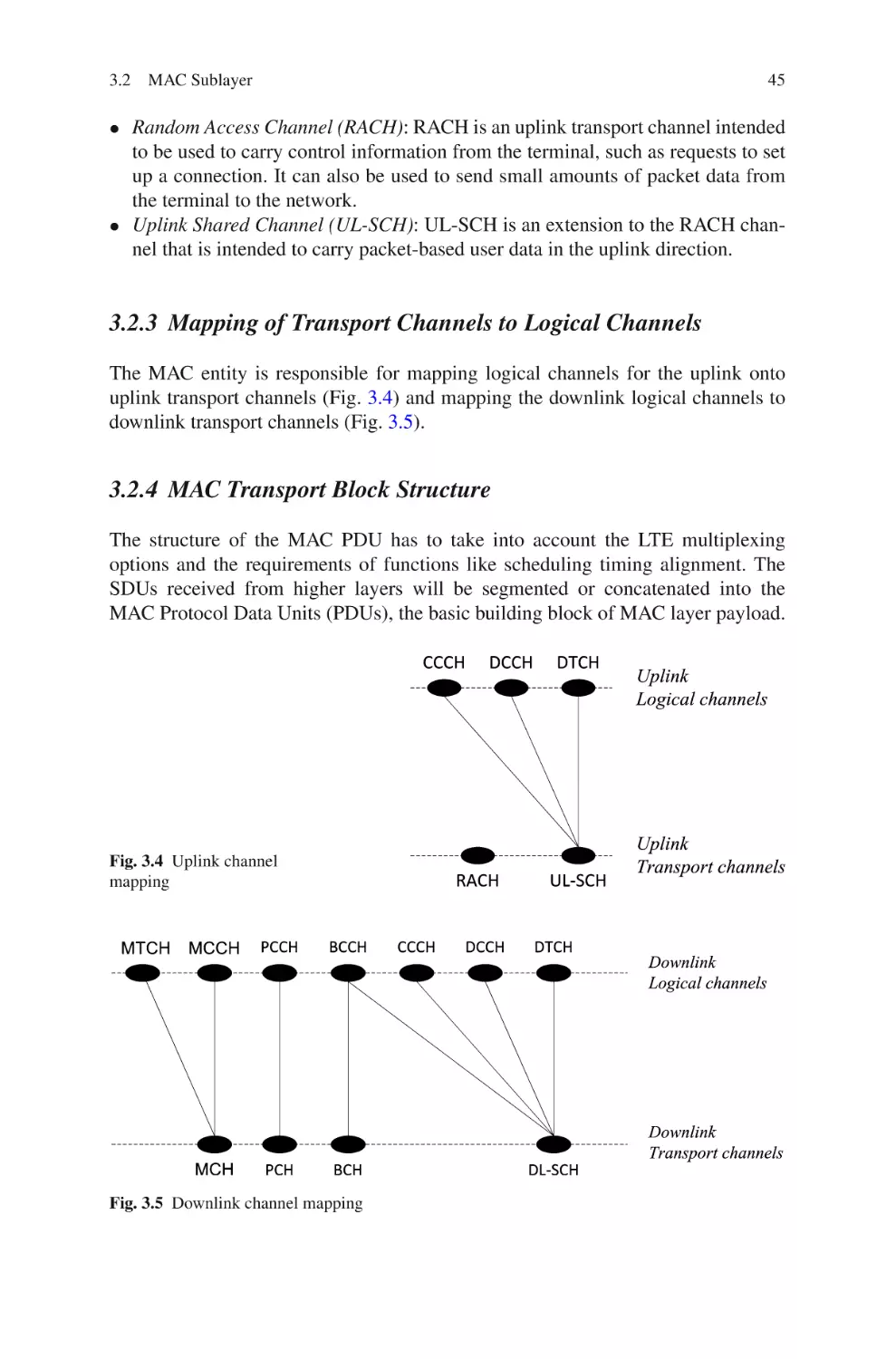 3.2.3  Mapping of Transport Channels to Logical Channels
3.2.4  MAC Transport Block Structure