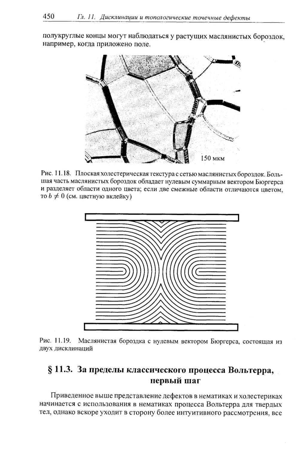 § 11.3. За пределы классического процесса Вольтерра, первый шаг