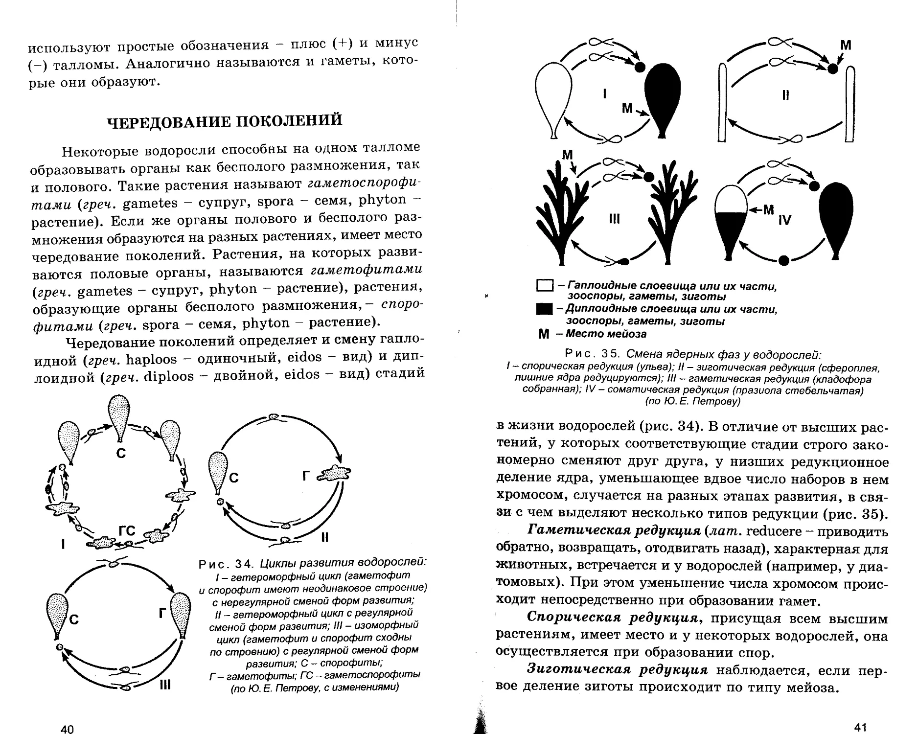 Чередование поколений