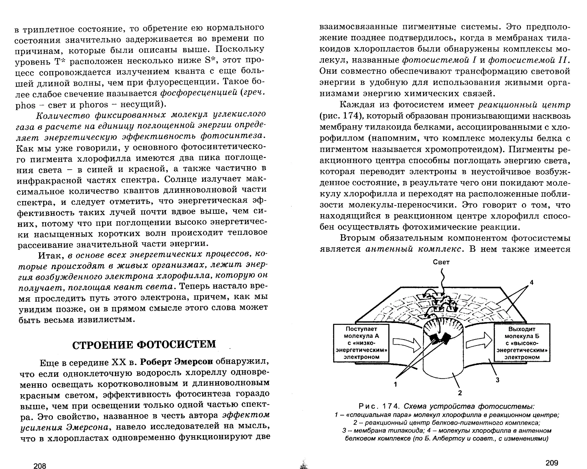 СТРОЕНИЕ ФОТОСИСТЕМ