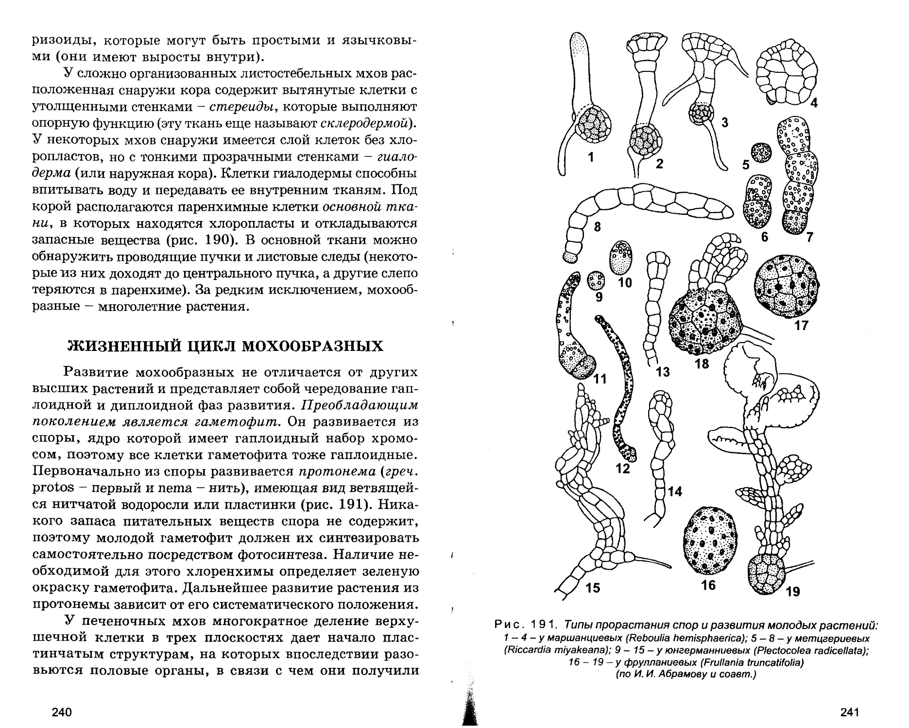 Жизненные циклы Мохообразных