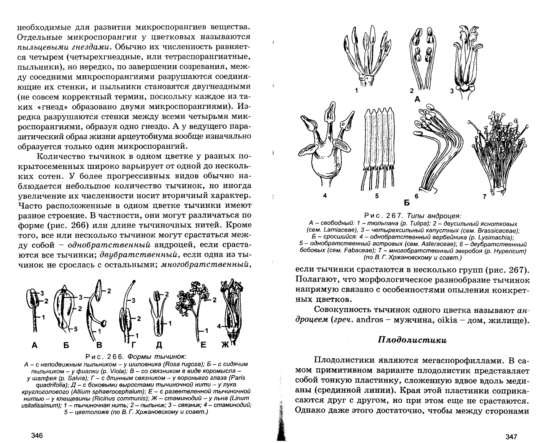 Плодолистики