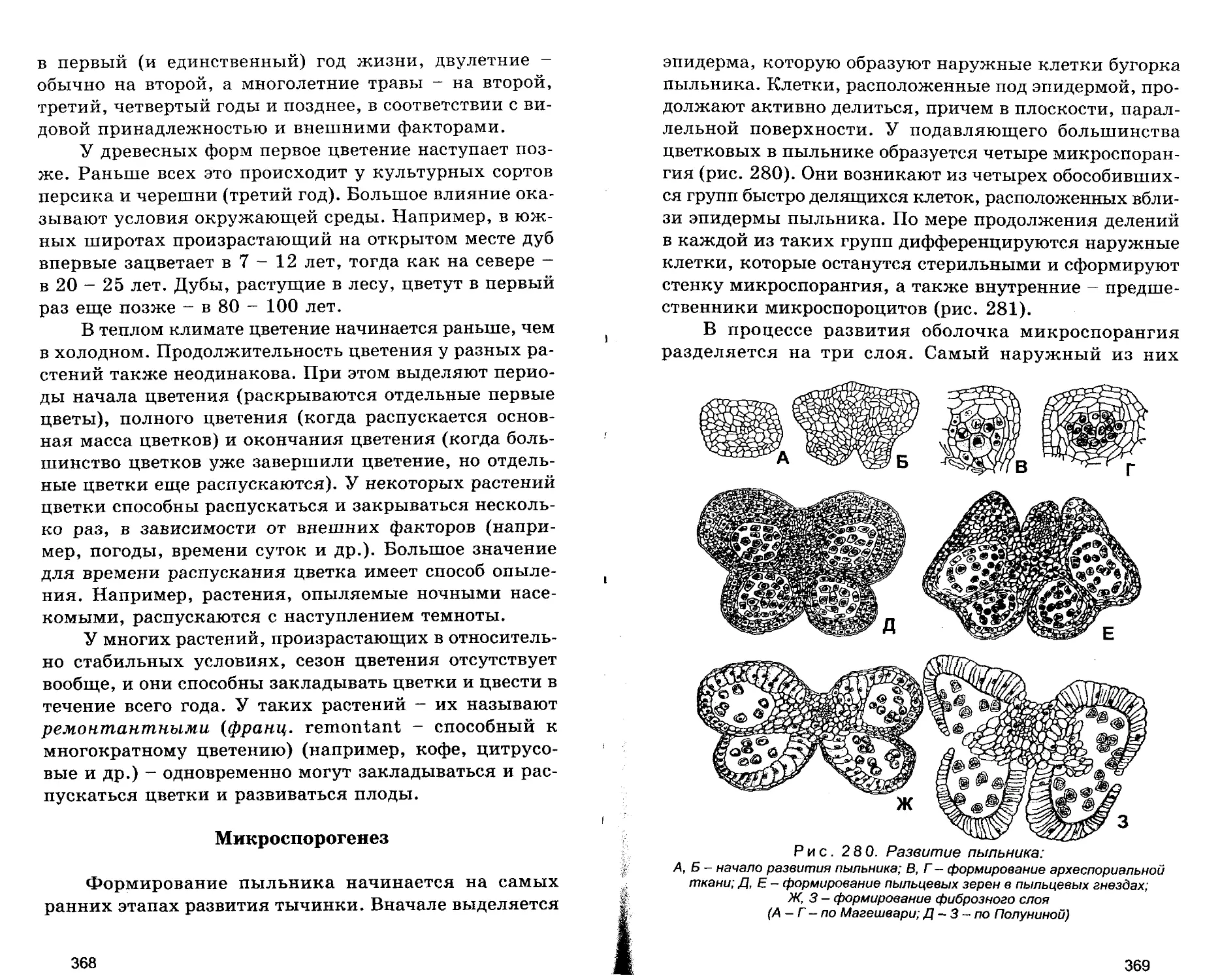 Микроспорогенез