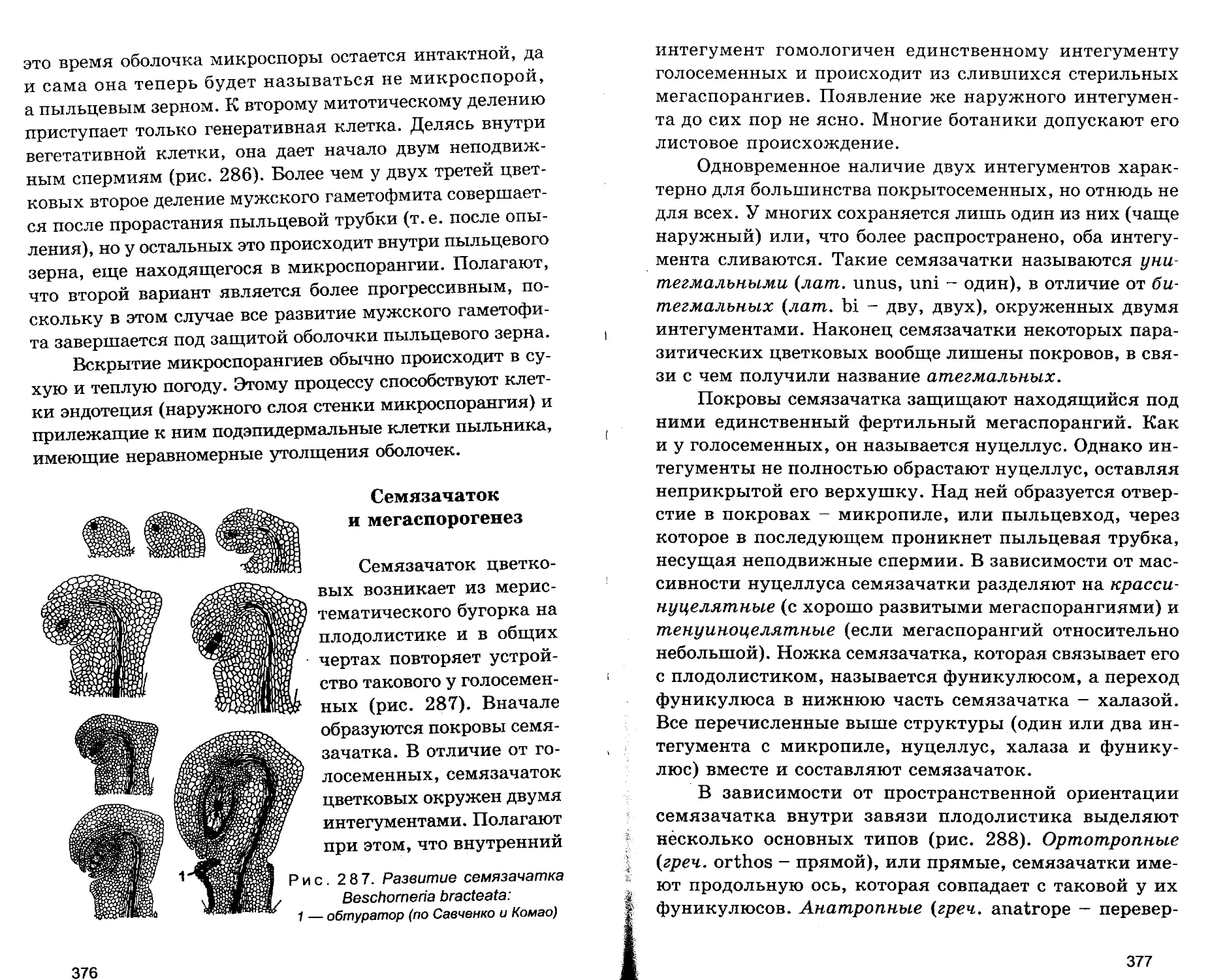 Семязачаток и мегаспорогенез