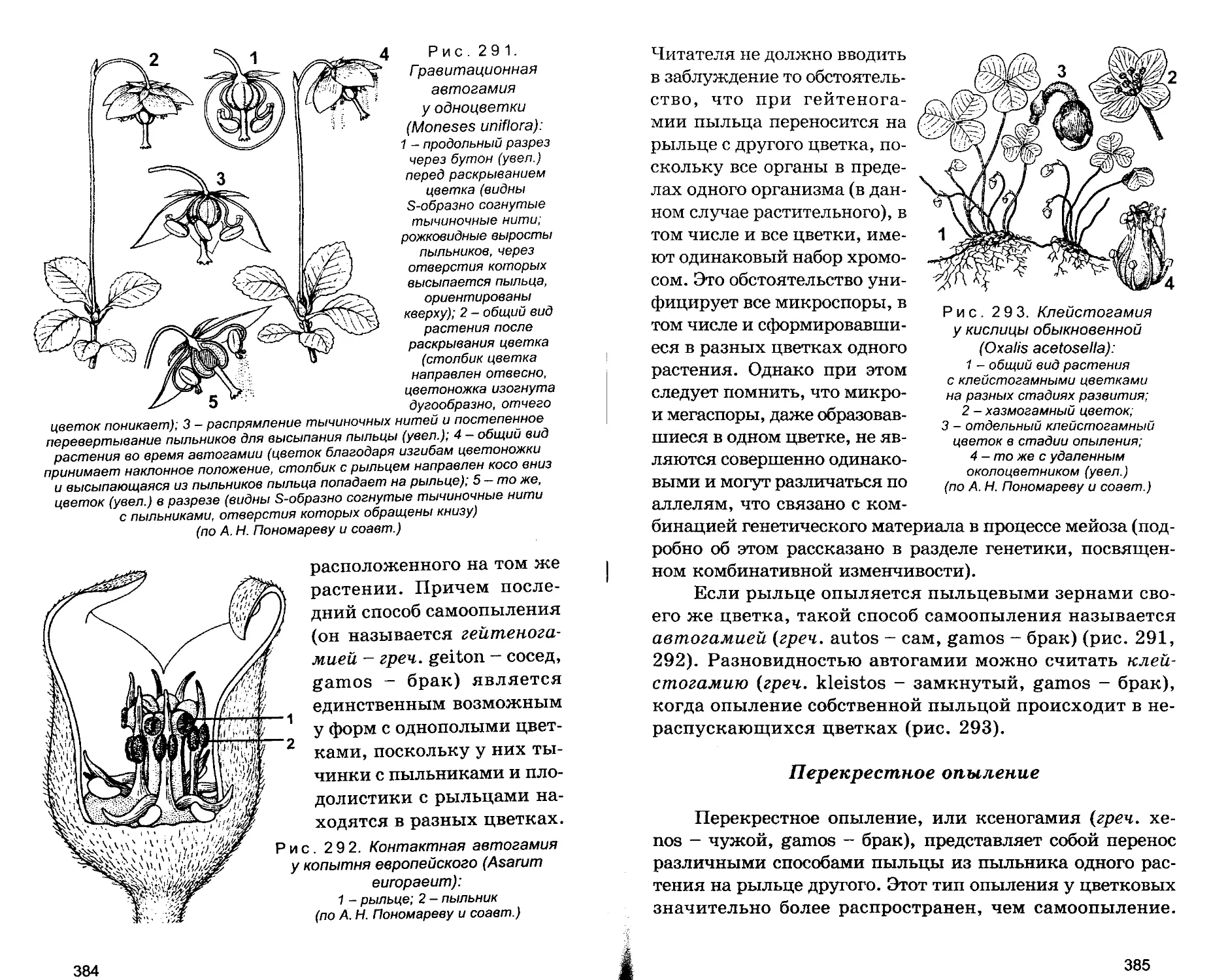 Перекрестное опыление