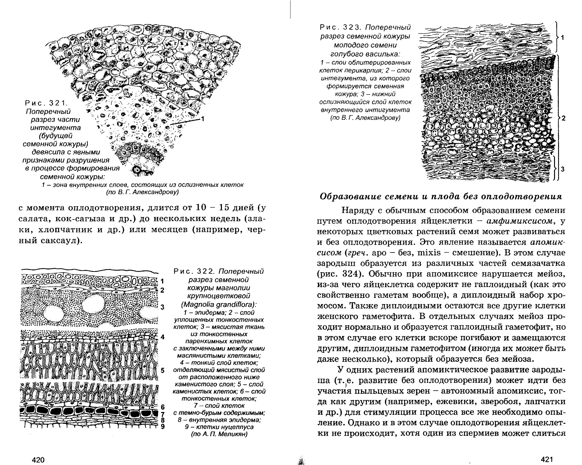 Образование семени и плода без оплодотворения