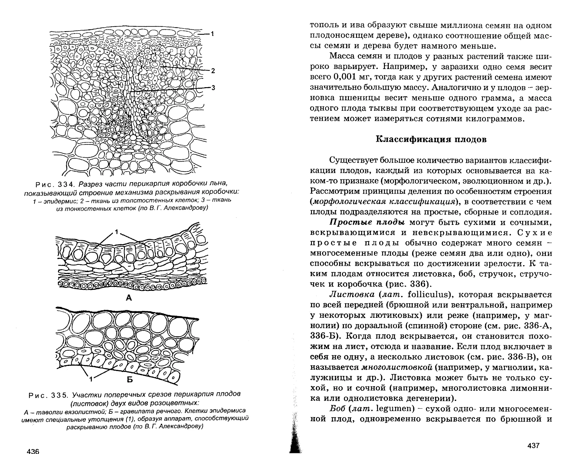 Классификация плодов