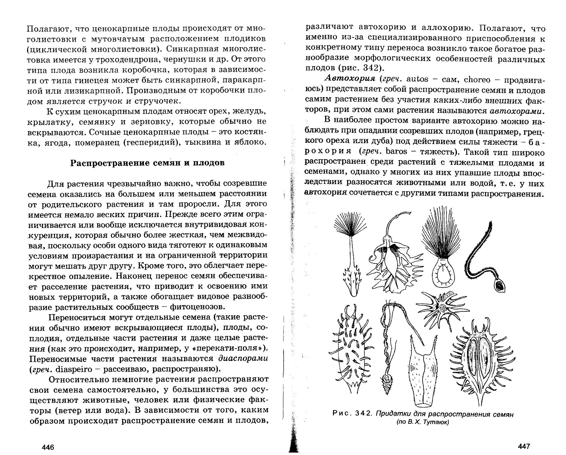 Распространение семян и плодов