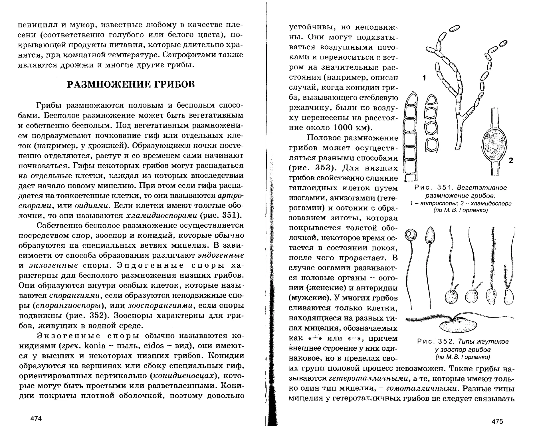 РАЗМНОЖЕНИЕ ГРИБОВ