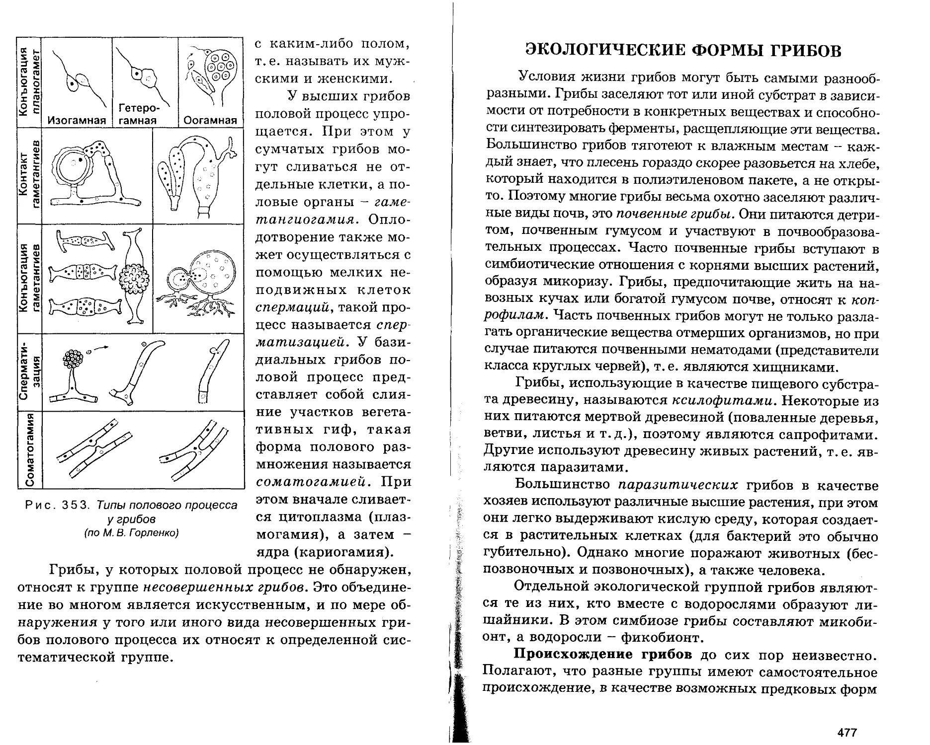 ЭКОЛОГИЧЕСКИЕ ФОРМЫ ГРИБОВ