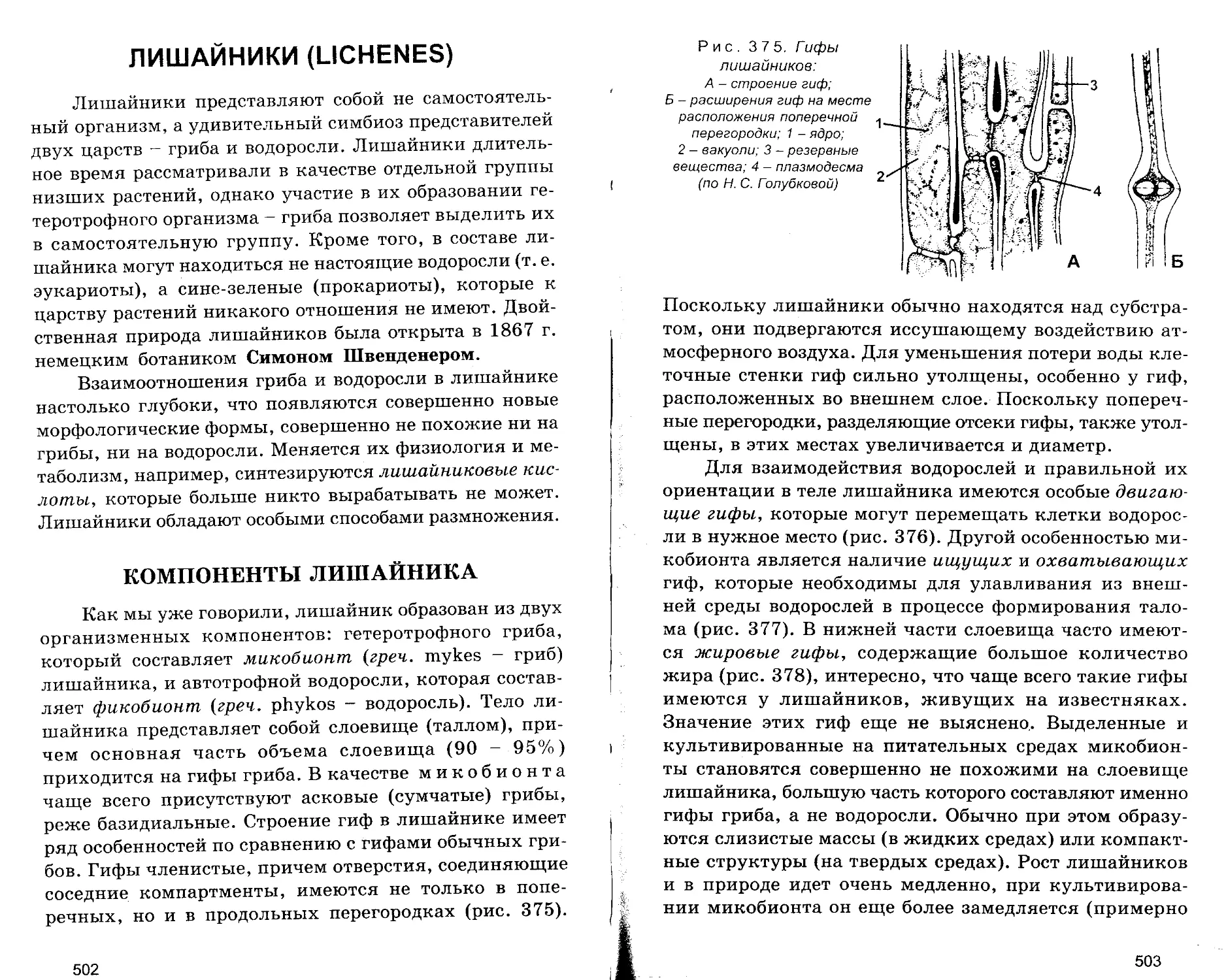 ЛИШАЙНИКИ (LICHENES). КОМПОНЕНТЫ ЛИШАЙНИКА