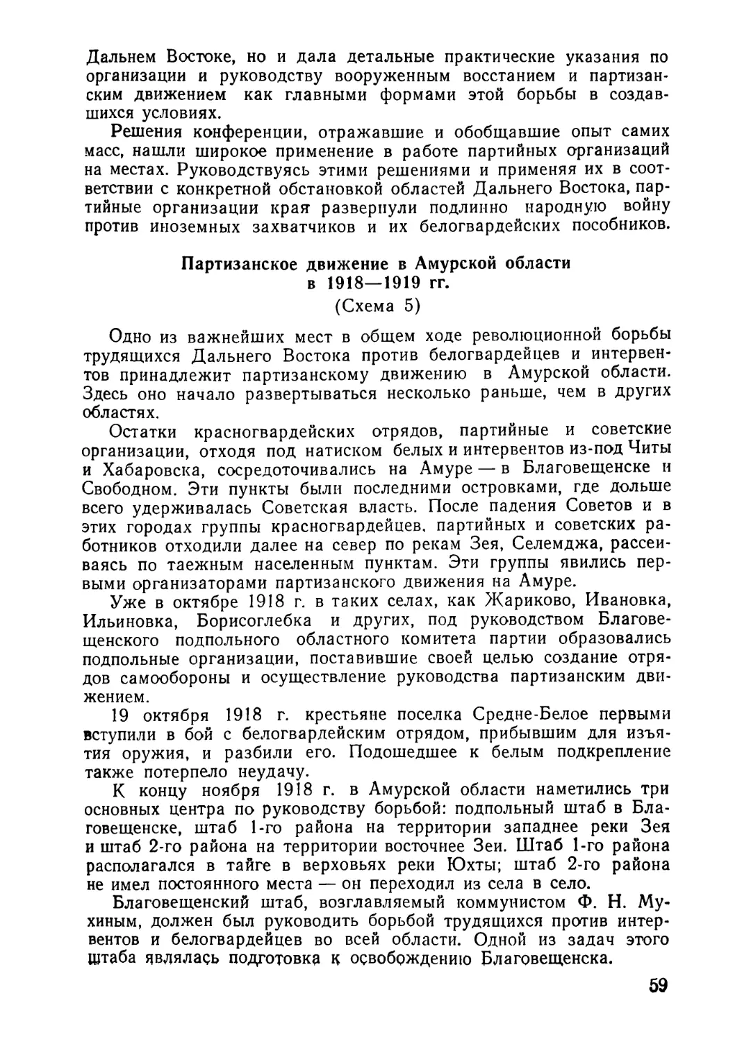 Партизанское движение в Амурской области в 1918—1919 гг.