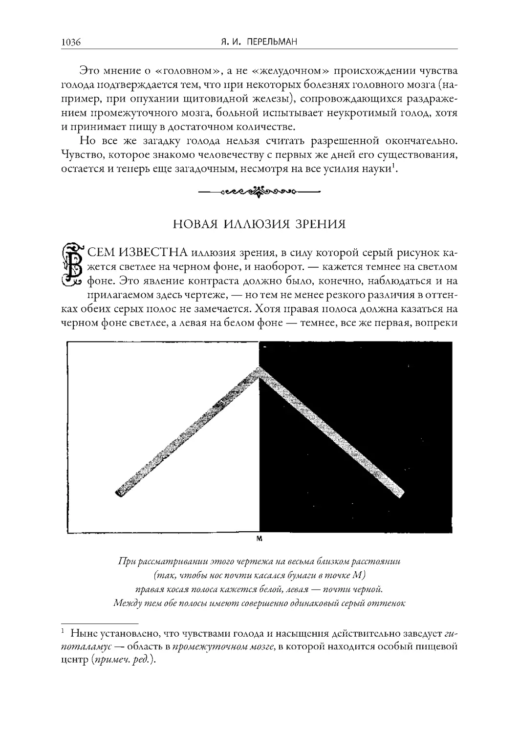 Новая иллюзия зрения