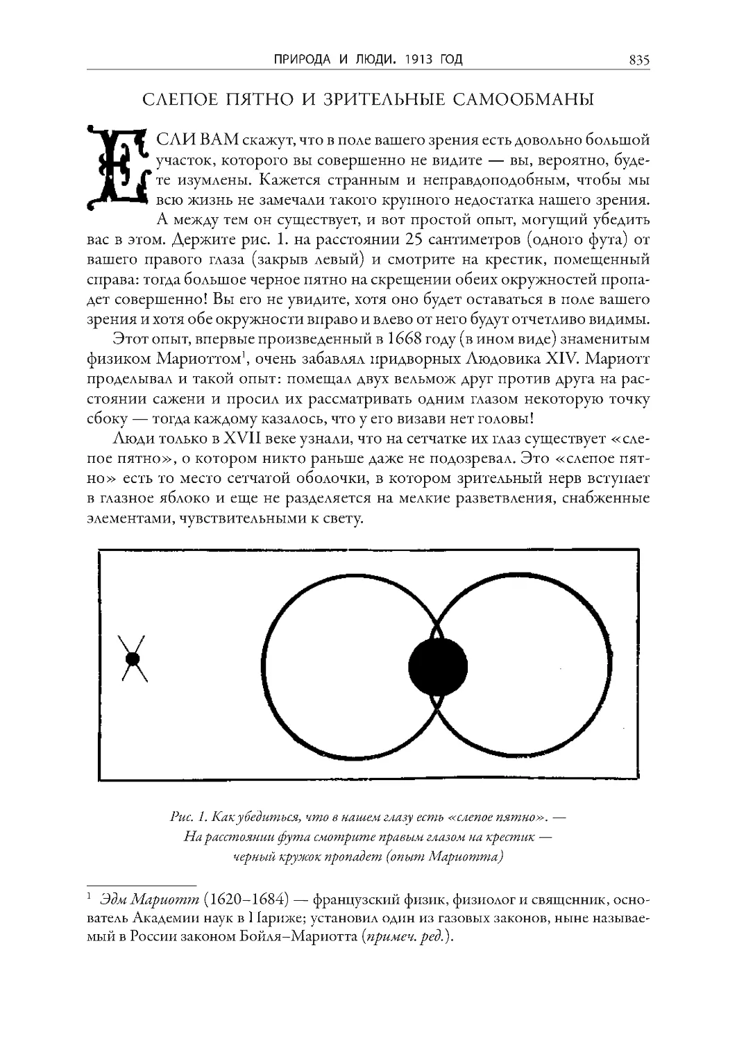 Слепое пятно и зрительные самообманы