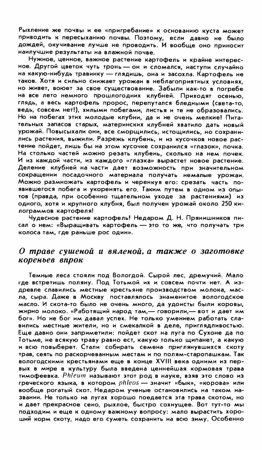 О траве сушёной и вяленой, а также о заготовке кореньев впрок