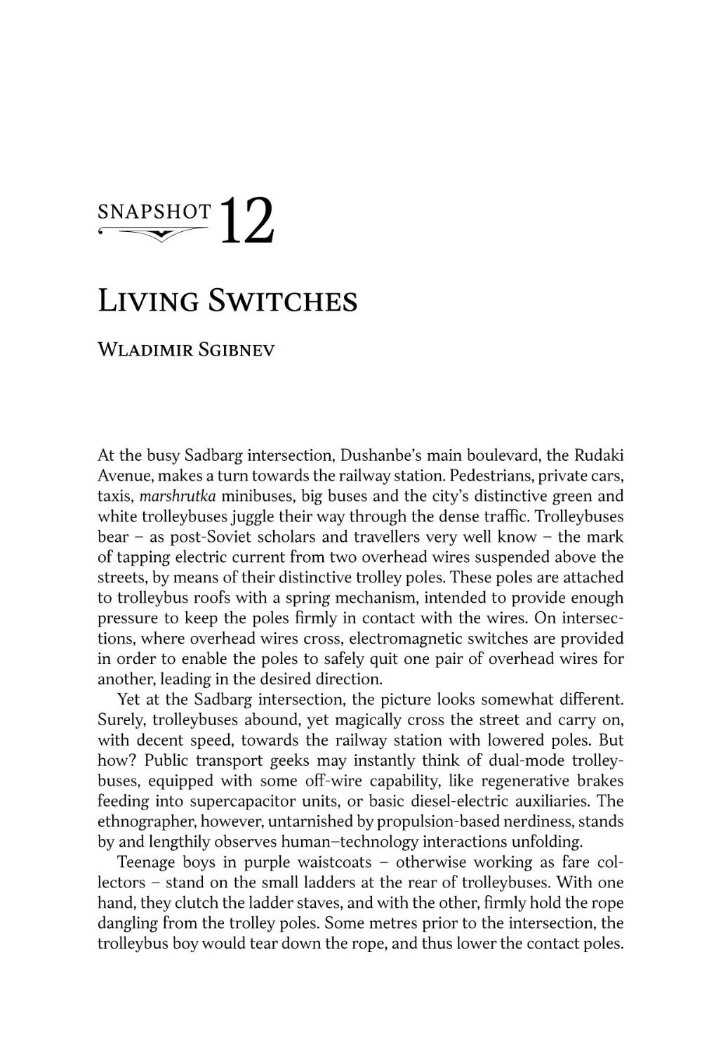 Snapshot 12. Living Switches • Wladimir Sgibnev