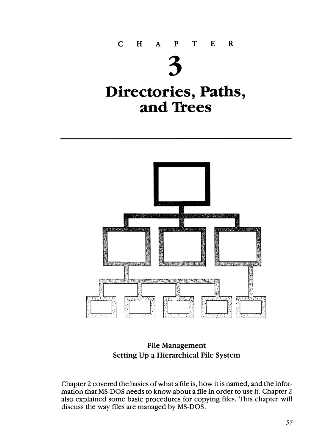 Chapter 3 - Directories, Paths, and Trees