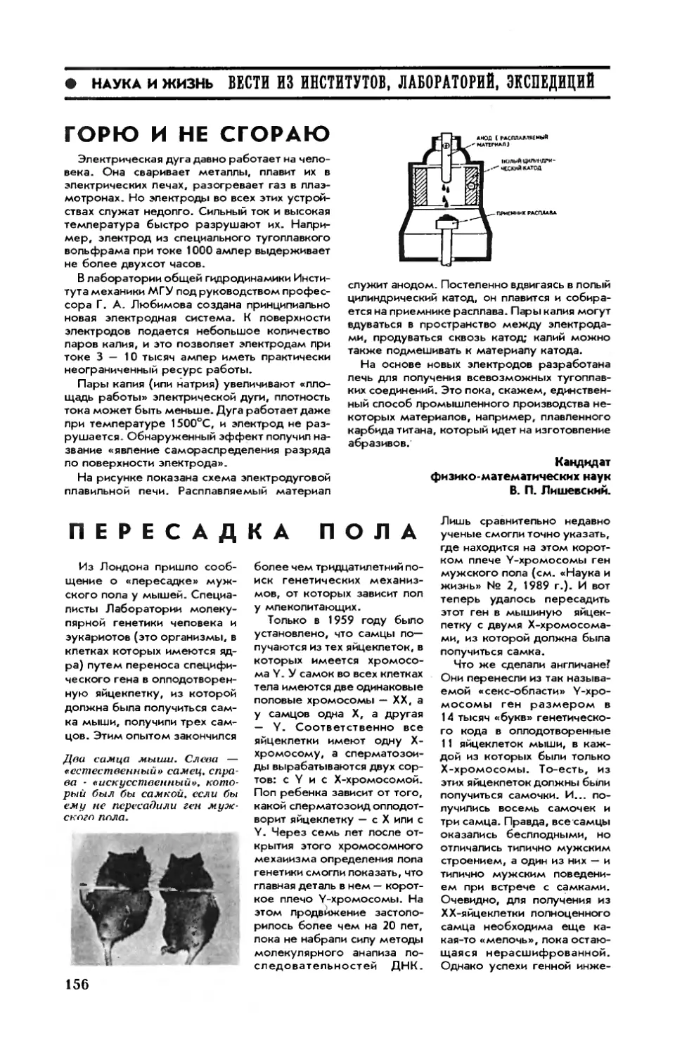 [Вести из институтов, лабораторий, экспедиций]
И. ЛАЛАЯНЦ, канд. биол. наук — Пересадка пола