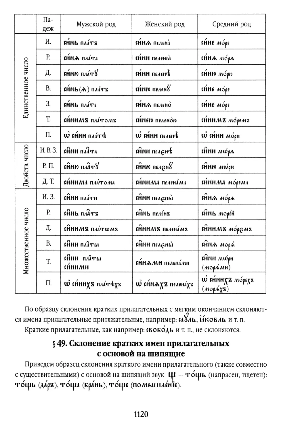 § 49. Склонение кратких имён прилагательных с основой на шипящие