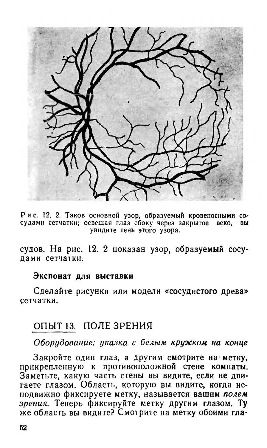 Опыт 13. Поле зрения