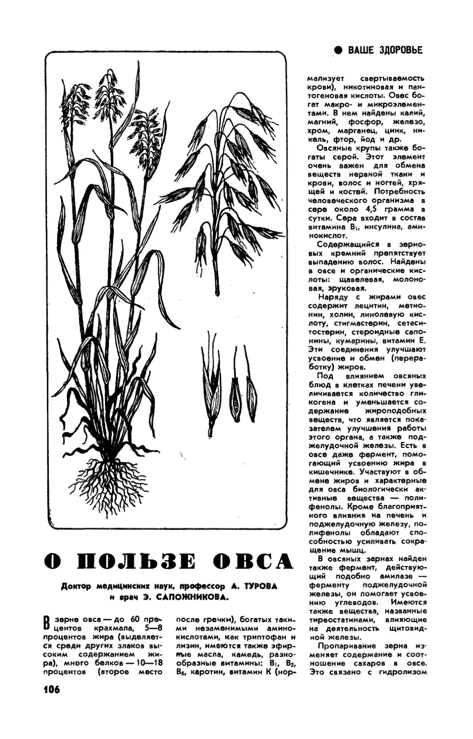 А. ТУРОВА, докт. мед. наук, Э. САПОЖНИКОВА — О пользе овса