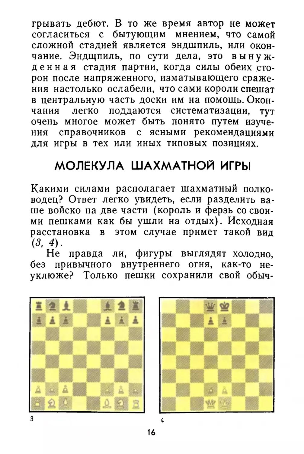Молекула  шахматной  игры