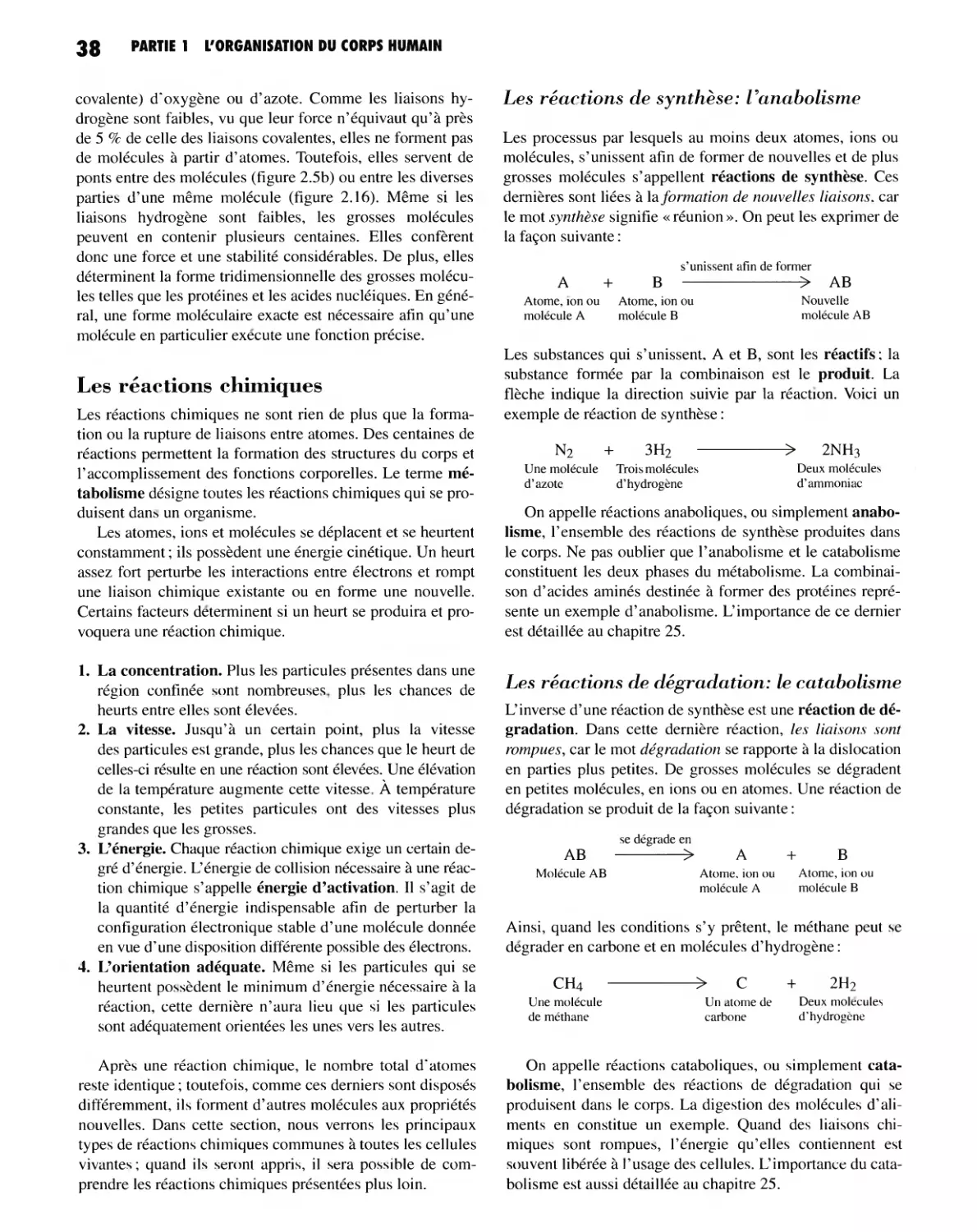 Les réactions chimiques
Les réactions de dégradation : le catabolisme