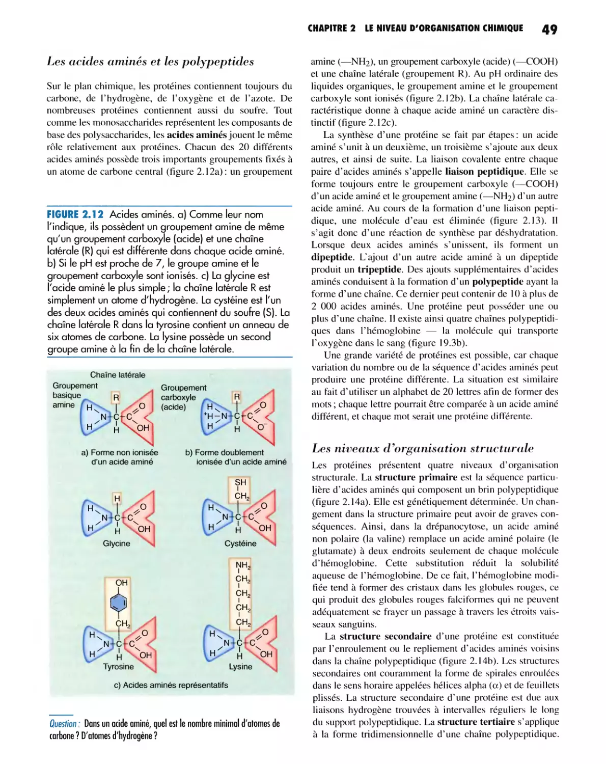 Les niveaux d'organisation structurale