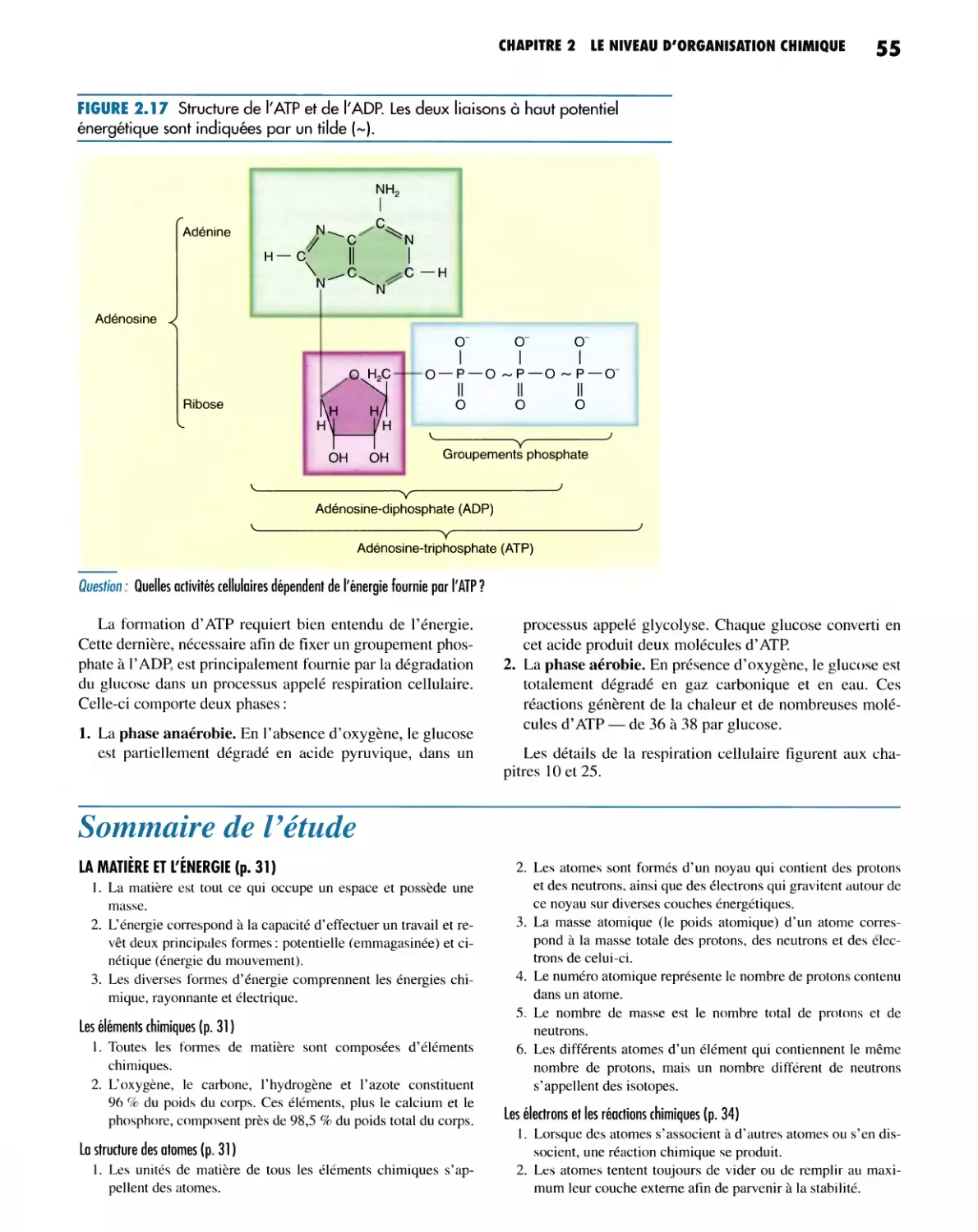 SOMMAIRE DE L'ÉTUDE