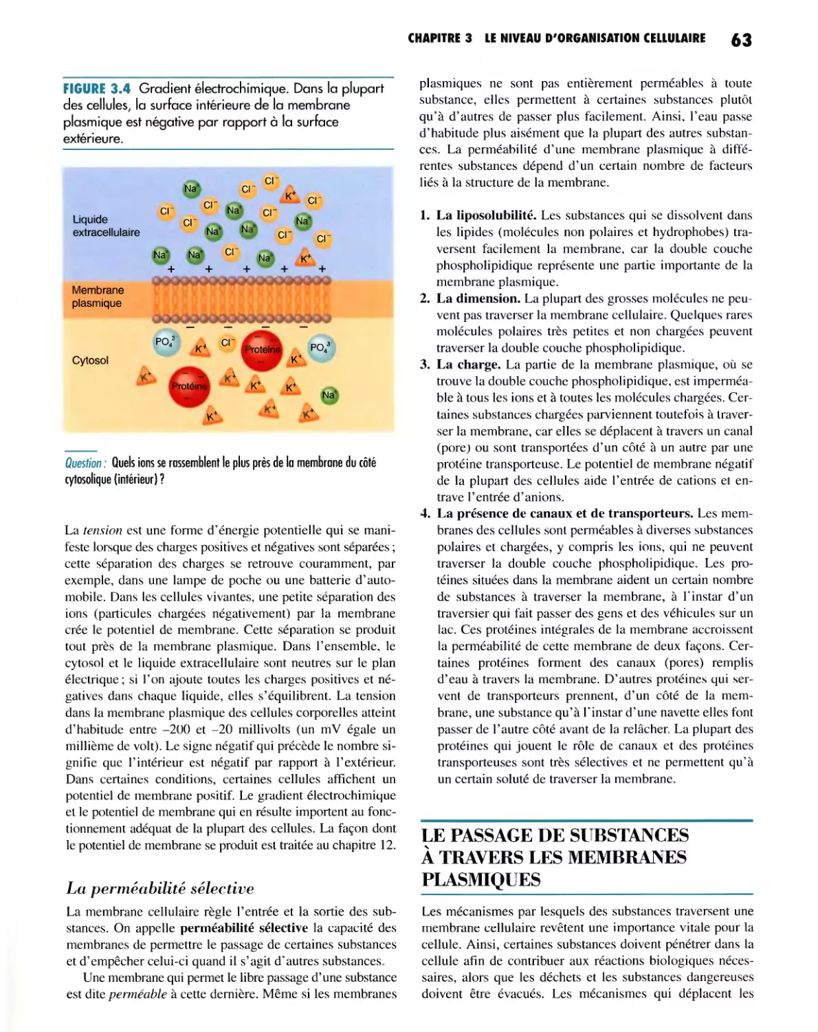 La perméabilité sélective
LE PASSAGE DE SUBSTANCES À TRAVERS LES MEMBRANES PLASMIQUES