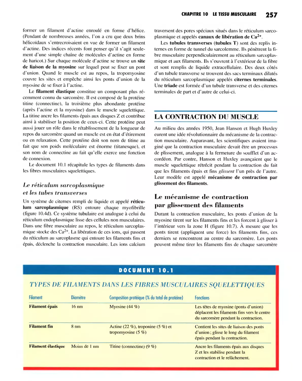 Le réticulum sarcoplasmique et les tubes transverses
LA CONTRACTION DU MUSCLE