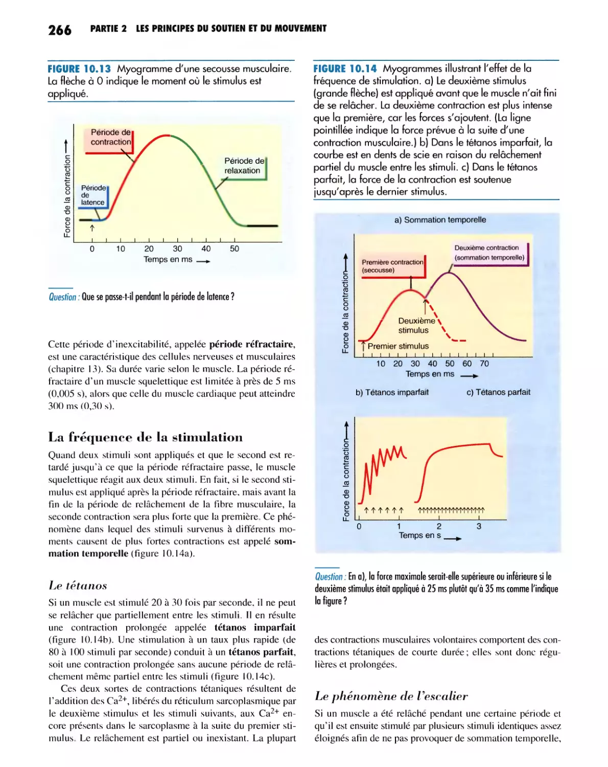 La fréquence de la stimulation
Le phénomène de l'escalier