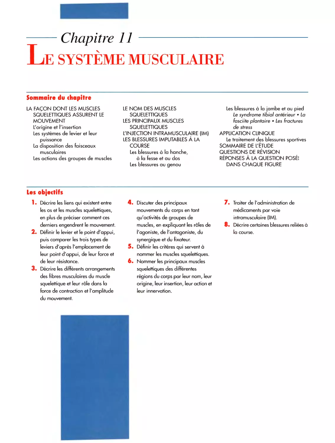 Chapitre 11 Le système musculaire