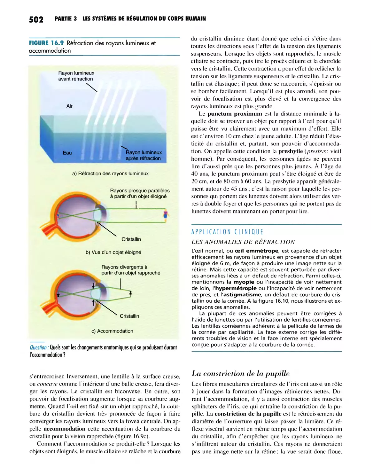 La constriction de la pupille