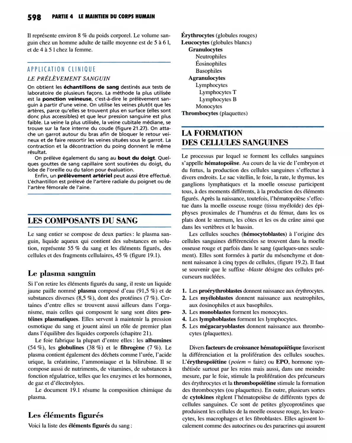 LES COMPOSANTS DU SANG
Les éléments figurés
LA FORMATION DES CELLULES SANGUINES