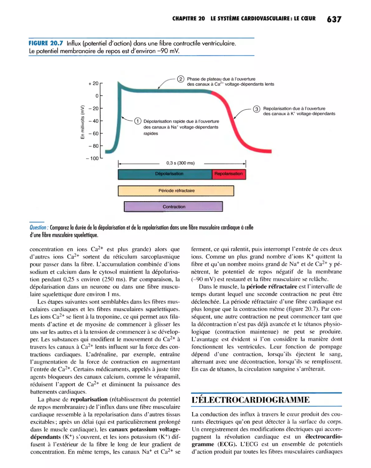 L'ÉLECTROCARDIOGRAMME