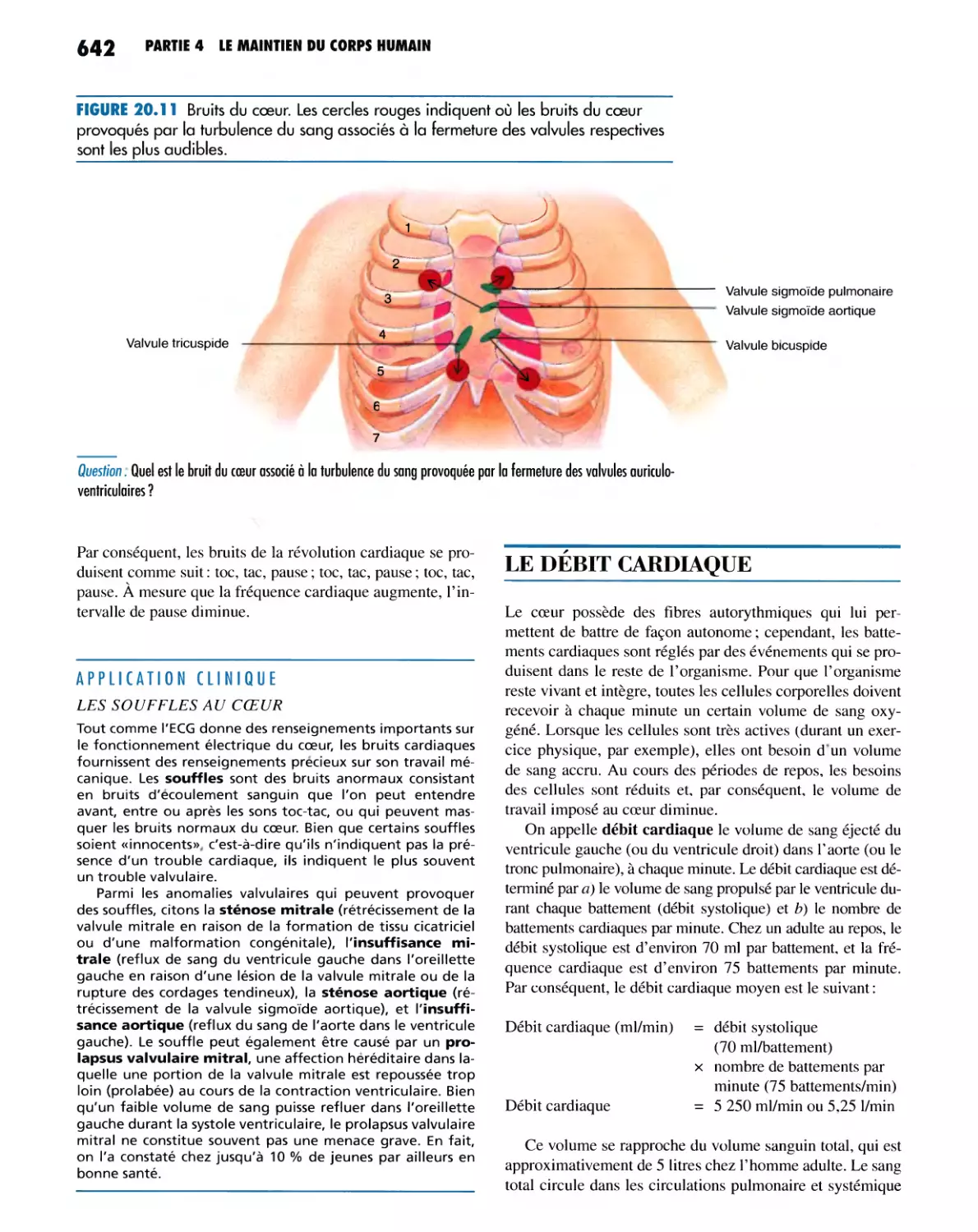 LE DÉBIT CARDIAQUE