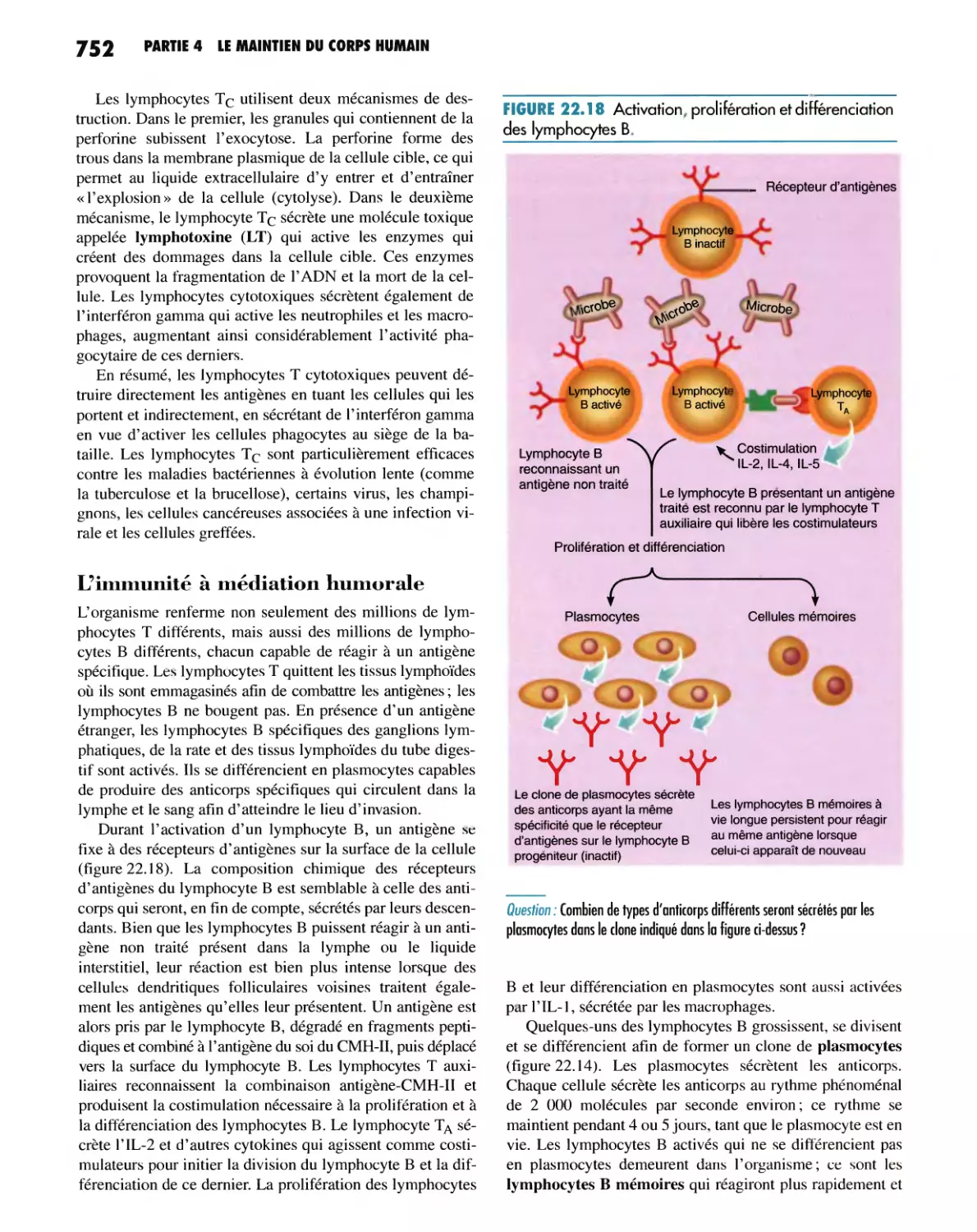 L'immunité à médiation humorale